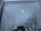 preview Audi S5 #5