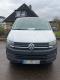 preview Volkswagen T6 Transporter #1