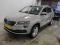 preview Skoda Karoq #0