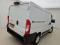 preview Opel Movano #1