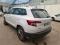 preview Skoda Karoq #1