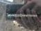 preview Volkswagen Golf #2