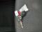 preview Suzuki Swift #3