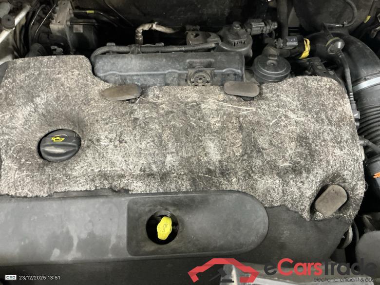 OPEL VIVARO 3100 FOU LWB DSL - 2019 2.0 TD L3H1 BInj. Edition S-S (EU6.2) #6