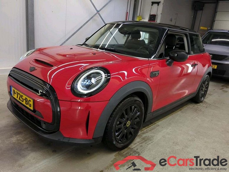 Mini Mini Electric Business Edition