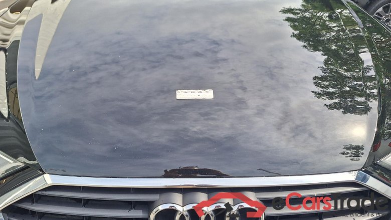 A6 Avant 35 TDI 2.0 TDI 120KW AT7 E6d #6