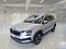 preview Skoda Karoq #0